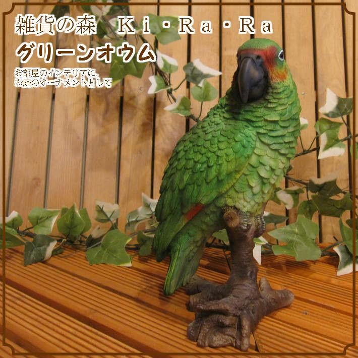 鳥の置物 オウム リアルなトリの置物 グリーン とりのフィギア バード