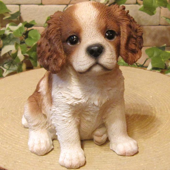 新品未使用 送料無料 おしゃれ かわいい インテリア雑貨 キャバリア キャバリアキングチャールズスパニエル クッションカバー グッズ 独特な キャバリア キングチャールズスパニエル