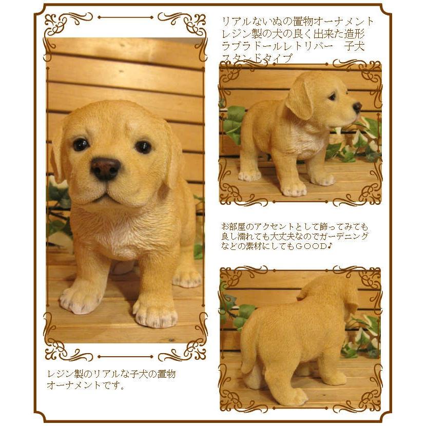置物 動物 可愛い 犬の置物 ラブラドールレトリバー リアル ラブラ