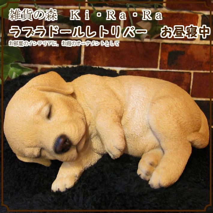 置物 動物 可愛い 犬の置物 ラブラドールレトリバー ラブラ お昼寝中 いぬ フィギュア イヌのオブジェ ガーデン ベランダアート 雑貨の森 Ki Ra Ra Yahoo 店 通販 Yahoo ショッピング