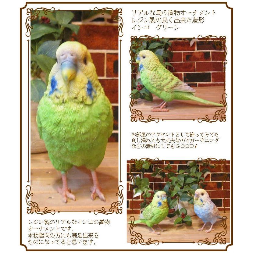 置物 動物 可愛い 鳥の置物 セキセイインコ 大 グリーン リアル トリ レジン製 バードオブジェ ガーデニング ベランダアート 雑貨の森 Ki Ra Ra Yahoo 店 通販 Yahoo ショッピング