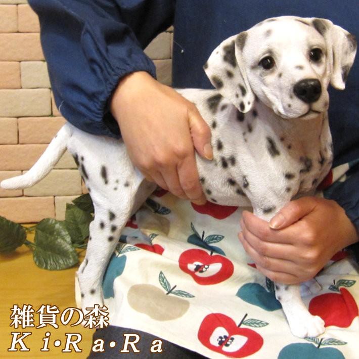 置物 動物 可愛い 犬の置物 ダルメシアン スタンド ラージサイズ リアル いぬのフィギュア イヌのオブジェ ガーデニング ベランダアート 雑貨の森 Ki Ra Ra Yahoo 店 通販 Yahoo ショッピング