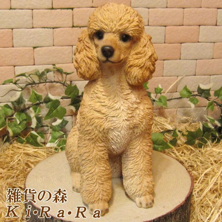 置物 動物 可愛い 犬の置物 プードル ラージサイズ リアル いぬの
