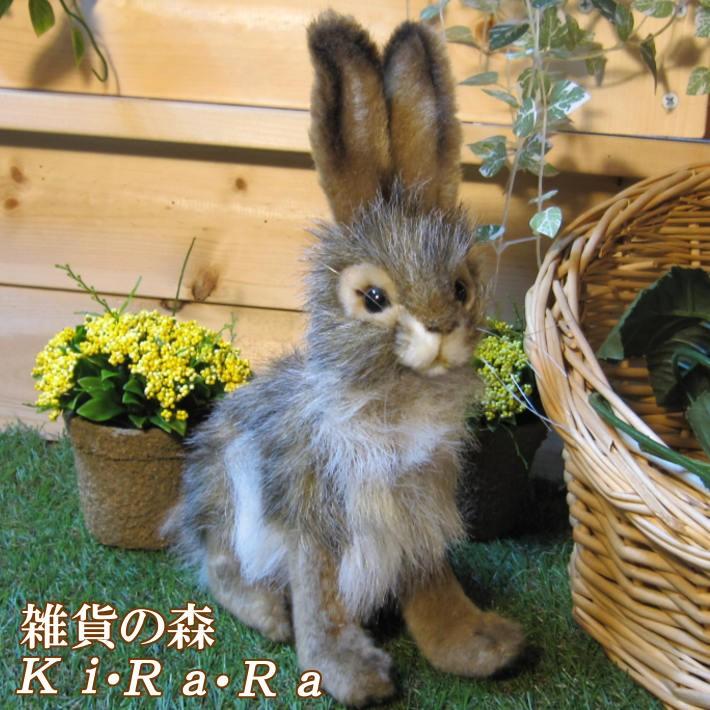 置物 動物 可愛い ウサギ ぬいぐるみ リアル オグロうさぎ Aタイプ