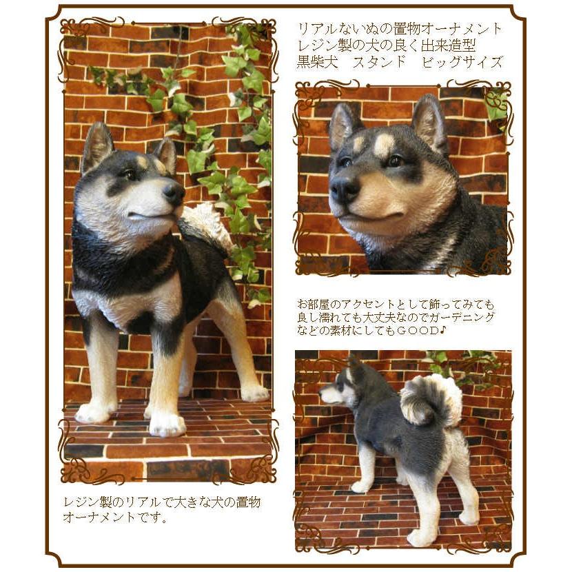 置物 動物 可愛い 犬の置物 黒柴 成犬 スタンド ビッグサイズ リアル