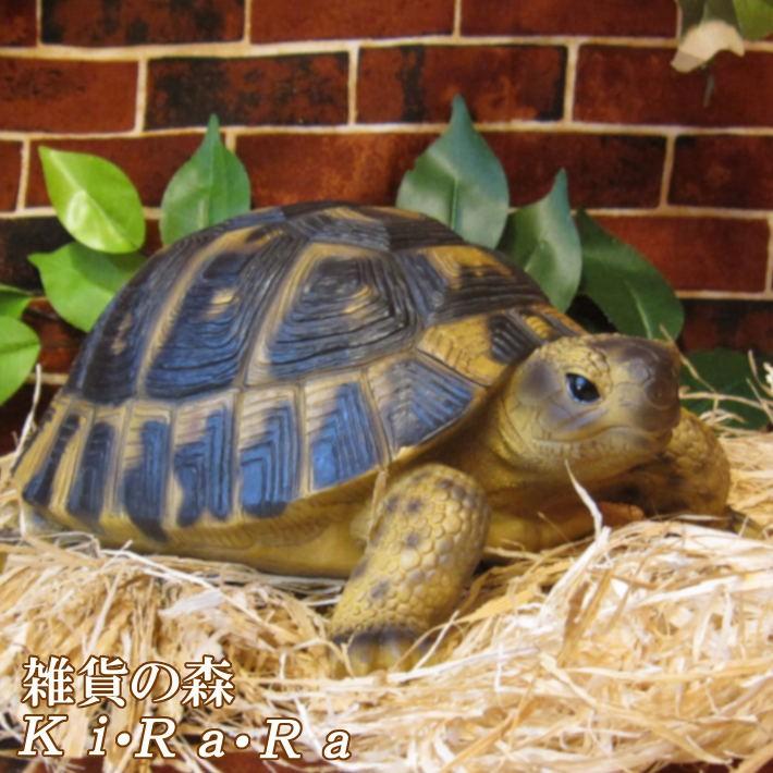 置物 動物 可愛い リアル カメの置物 Bタイプ かめオブジェ 亀 置物 動物 可愛い リアル カメの置物 Bタイプ かめオブジェ 亀