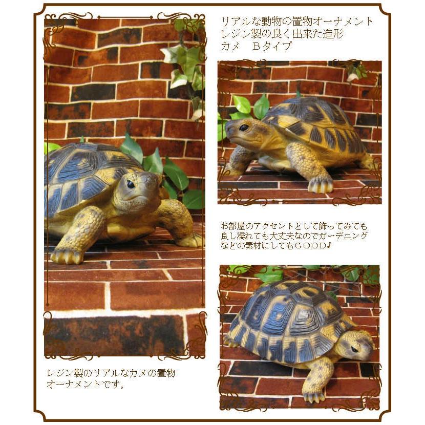 置物 動物 可愛い リアル カメの置物 Bタイプ かめオブジェ 亀 置物 動物 可愛い リアル カメの置物 Bタイプ かめオブジェ 亀