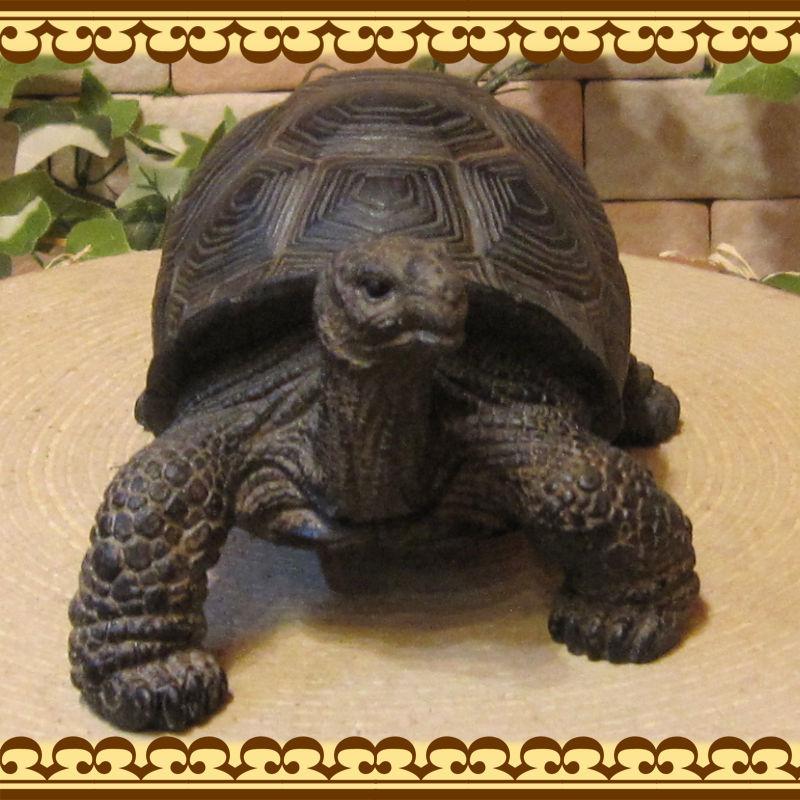 置物 動物 可愛い リアル カメの置物 Aタイプ かめオブジェ 亀