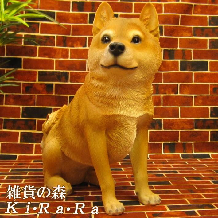犬の置物 柴犬 大きくてリアルな 成犬 お座り ビッグサイズ いぬのフィギア イヌのオブジェ ガーデニング 玄関先 陶器 雑貨の森 Ki Ra Ra Yahoo 店 通販 Yahoo ショッピング