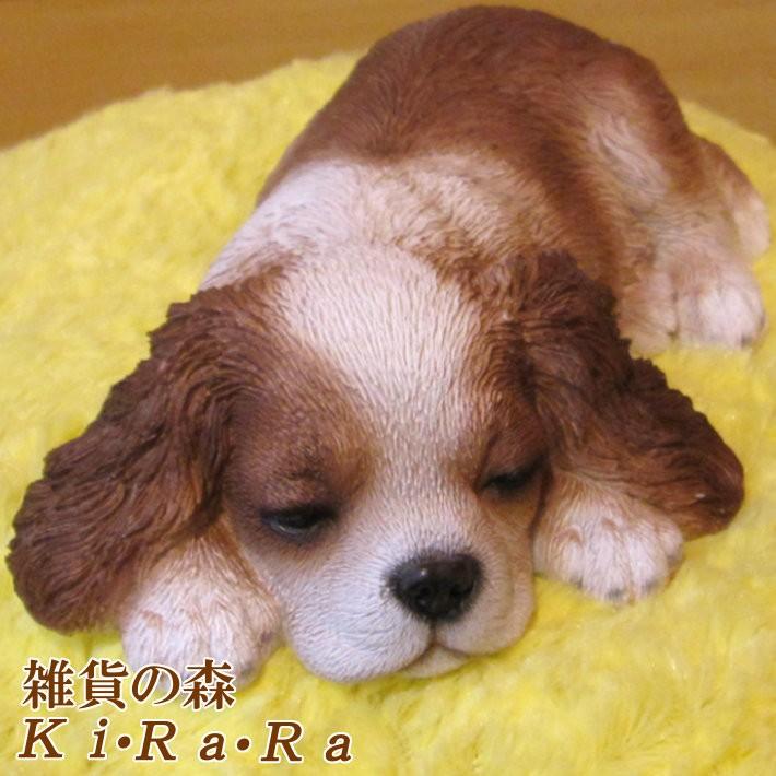 置物 動物 可愛い 犬の置物 キャバリア リアル ウトウト ねむねむ 子いぬのフィギュア イヌのオブジェ ガーデニング ベランダアート 雑貨の森 Ki Ra Ra Yahoo 店 通販 Yahoo ショッピング