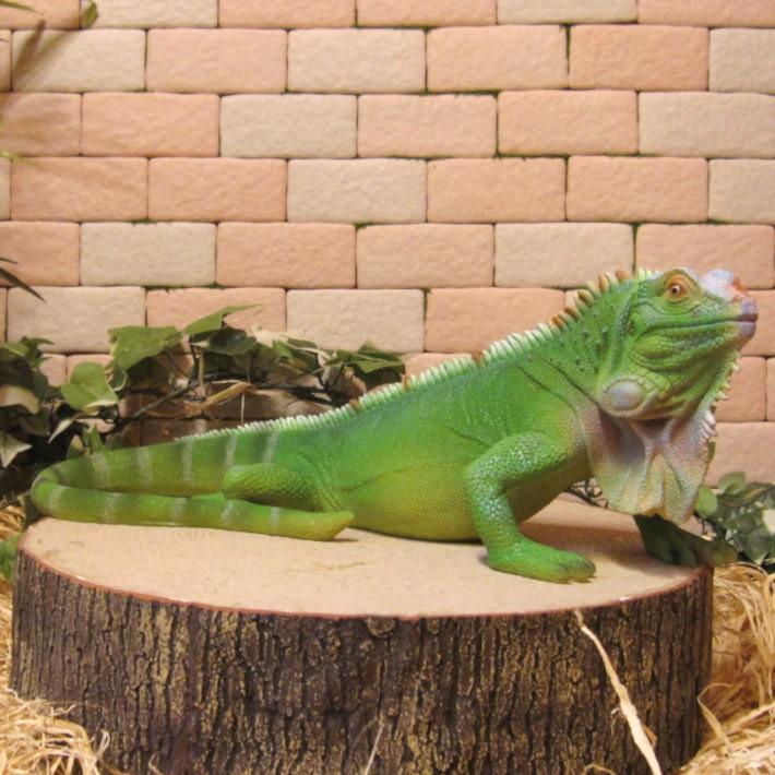 置物 動物 可愛い トカゲの置物 リアルなイグアナ ｂタイプ グリーン 爬虫類オブジェ 庭 フィギュア ガーデニング オーナメント ドラゴン 雑貨の森 Ki Ra Ra Yahoo 店 通販 Yahoo ショッピング