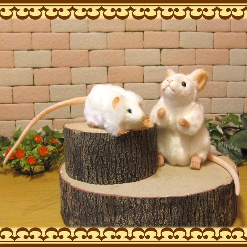 置物 動物 可愛い リアルな ねずみのぬいぐるみ 白ネズミ 親子２体セット 干支 縁起物 正月飾り 小動物 インテリア アニマルオブジェ 雑貨の森 Ki Ra Ra Yahoo 店 通販 Yahoo ショッピング