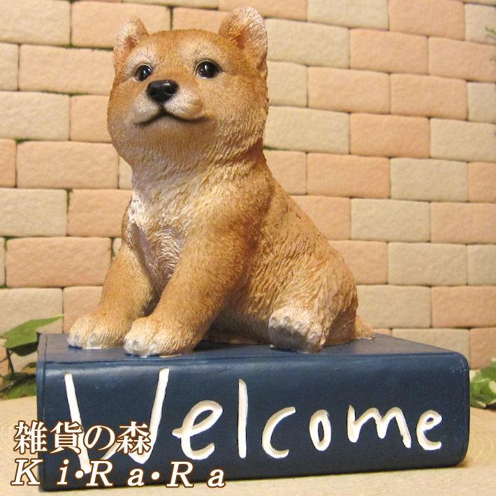 置物 動物 可愛い 犬の置物 柴犬 ウエルカムブック Ａ（座） 日本犬
