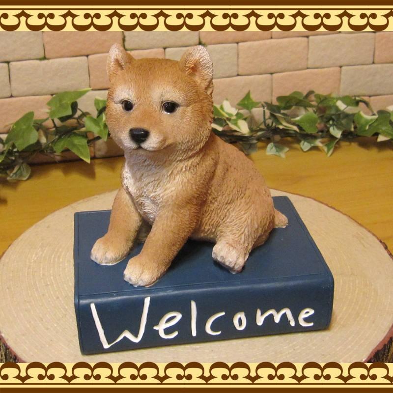 犬の置物 柴犬 ウエルカムブック ａ 座 日本犬 リアルな犬の置物 犬雑貨 子いぬのフィギア イヌのオブジェ ガーデニング 玄関先 陶器 雑貨の森 Ki Ra Ra Yahoo 店 通販 Yahoo ショッピング