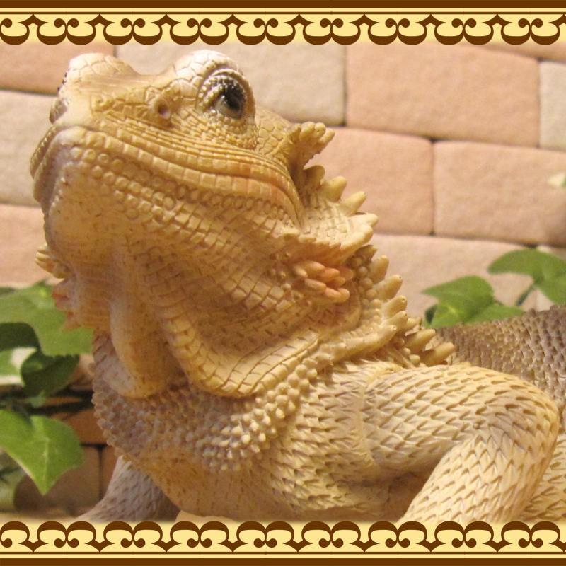 置物 動物 可愛い トカゲの置物 リアルなイグアナ ａタイプ ベージュ 爬虫類オブジェ 庭 フィギュア ガーデニング オーナメント ドラゴン 雑貨の森 Ki Ra Ra Yahoo 店 通販 Yahoo ショッピング