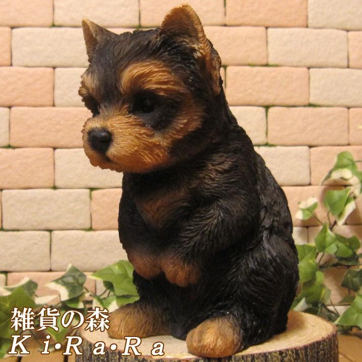 置物 動物 可愛い 犬の置物 ヨークシャーテリア おもてなし ドッグ ヨーキー リアル 子いぬのフィギア イヌのオブジェ ガーデニング ベランダアート 雑貨の森 Ki Ra Ra Yahoo 店 通販 Yahoo ショッピング