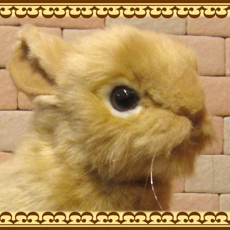 置物 動物 可愛い ウサギ ぬいぐるみ ネザーランドドワーフ リアル うさぎ オブジェ フィギュア インテリア バニーグッズ バニーモチーフ もふもふ 雑貨の森 Ki Ra Ra Yahoo 店 通販 Yahoo ショッピング