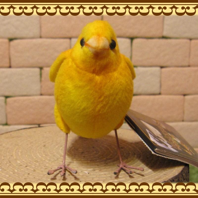 上下セット販売 インテリア可愛い小鳥カナリヤ12羽各安 新発売 インテリア 住まい 日用品 インテリア小物 Www Roe Solca Ec