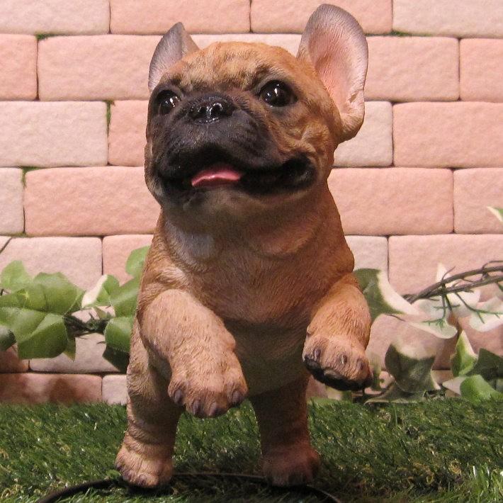 犬の置物 フレンチブルドッグ フレブルドッグレース Bタイプ リアル オブジェ ガーデニング 玄関先 ベランダアート 雑貨の森 Ki Ra Ra Yahoo 店 通販 Yahoo ショッピング