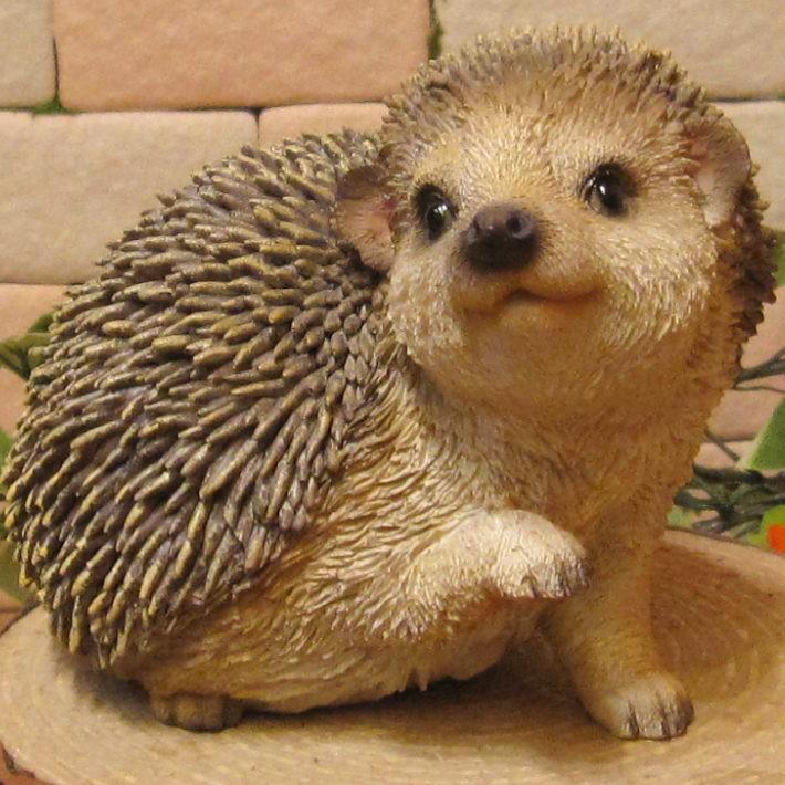 ハリネズミの置物 Dタイプ 振り向き ヘッジホッグ リアルな はりねずみ フギュア オブジェ ガーデニング 玄関先 陶器 ベランダアート 雑貨の森 Ki Ra Ra Yahoo 店 通販 Yahoo ショッピング