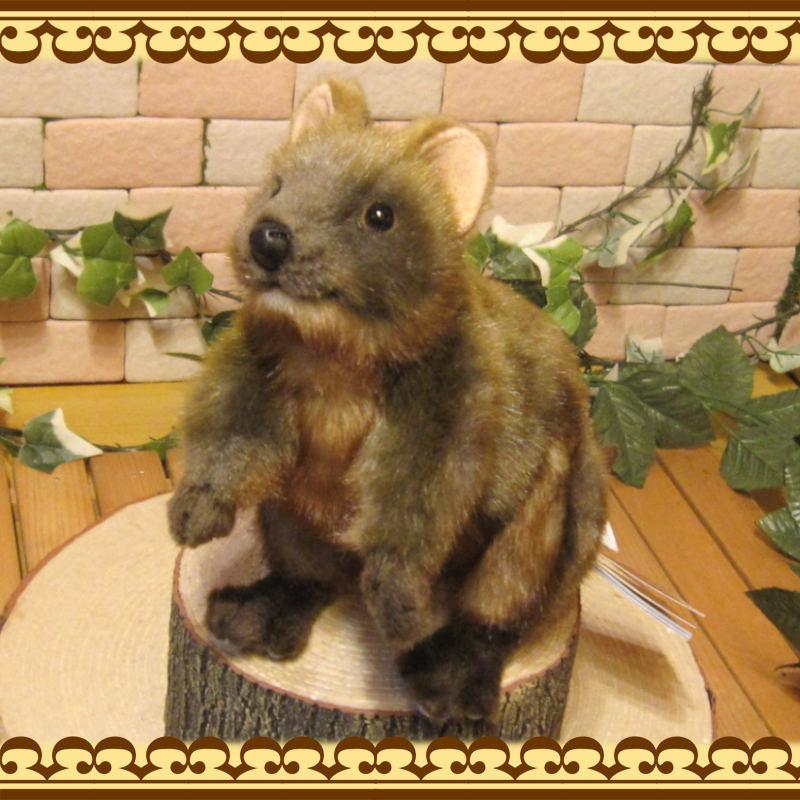 置物 動物 可愛い リアルな動物のぬいぐるみ クアッカワラビー アニマルオブジェ グッズ アニマル 置物 インテリア もふもふ 雑貨の森 Ki Ra Ra Yahoo 店 通販 Yahoo ショッピング