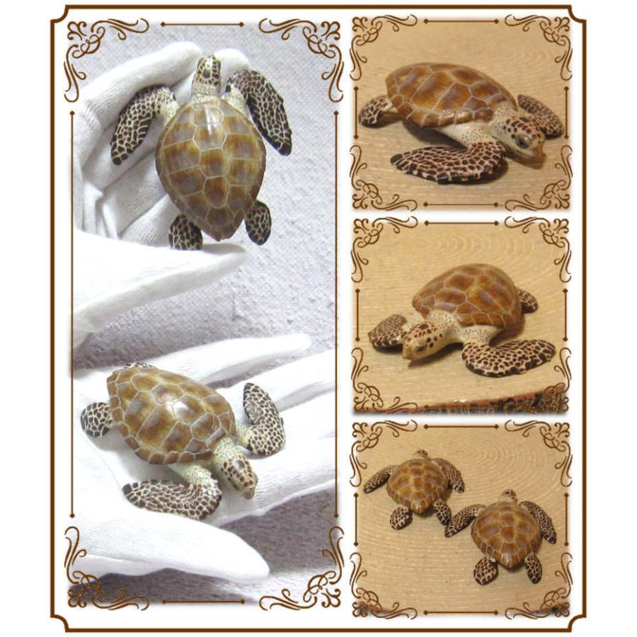 置物 動物 可愛い 亀の置物 リアルな ウミガメ ２点セット 海亀 うみがめ 爬虫類 ドール フィギュア 縁起物 亀 ミニチュア インテリア 雑貨の森 Ki Ra Ra Yahoo 店 通販 Yahoo ショッピング