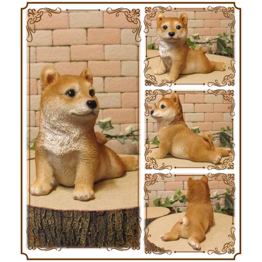 大人気 置物 動物 可愛い 犬の置物 柴犬 休憩中 リアル 日本犬 しばけん ガーデン オーナメント 装飾 ベランダアート イヌオブジェ フィギュア Supplystudies Com