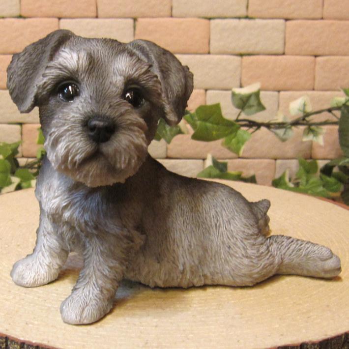 置物 動物 可愛い 犬の置物 シュナウザー 休憩中！ リアル ガーデン