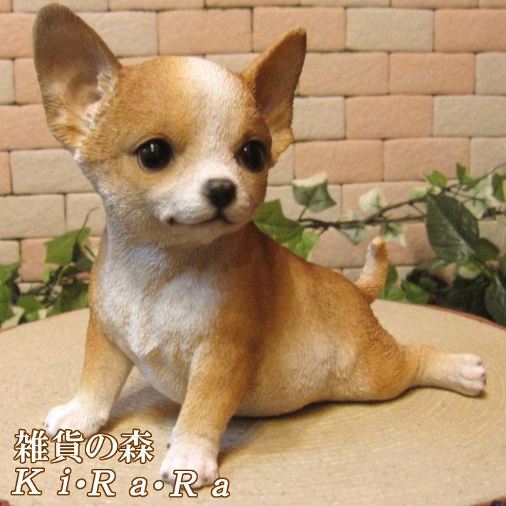 置物 動物 可愛い 犬の置物 チワワ 休憩中 リアル ガーデン オーナメント 装飾 ベランダアート イヌオブジェ フィギュア ガーデニング 雑貨の森 Ki Ra Ra Yahoo 店 通販 Yahoo ショッピング