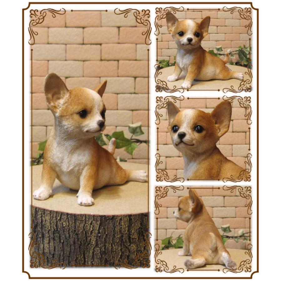 犬の置物 チワワ 休憩中 販売期間 限定のお得なタイムセール リアル ガーデン オーナメント 玄関先 ガーデニング ベランダアート フィギュア 装飾 イヌオブジェ