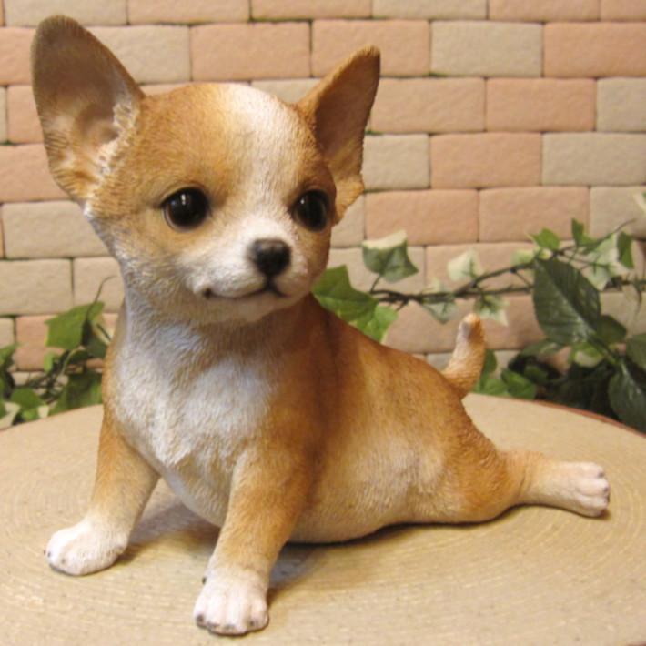 犬の置物 チワワ 休憩中 販売期間 限定のお得なタイムセール リアル ガーデン オーナメント 玄関先 ガーデニング ベランダアート フィギュア 装飾 イヌオブジェ
