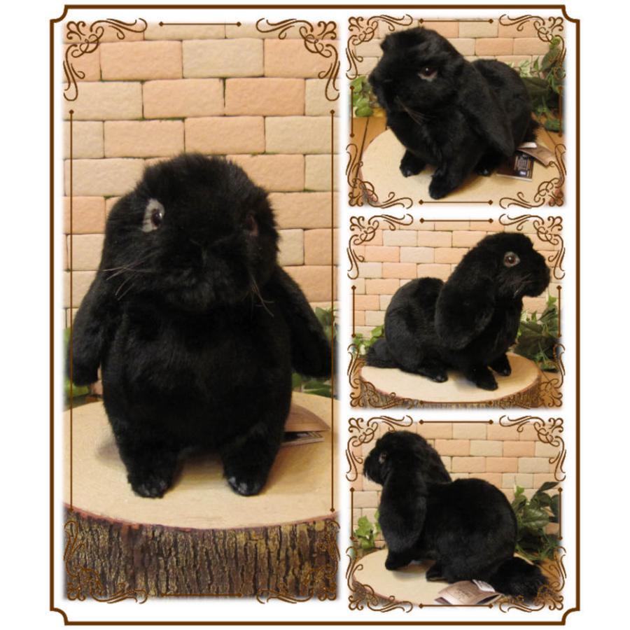 置物 動物 可愛い ウサギの ぬいぐるみ ロップイヤー ブラック リアルなウサギの置物 アニマル雑貨 グッズ うさぎのフィギュア もふもふ 雑貨の森 Ki Ra Ra Yahoo 店 通販 Yahoo ショッピング