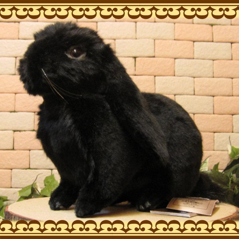 置物 動物 可愛い ウサギの ぬいぐるみ ロップイヤー ブラック リアルなウサギの置物 アニマル雑貨 グッズ うさぎのフィギュア もふもふ 雑貨の森 Ki Ra Ra Yahoo 店 通販 Yahoo ショッピング