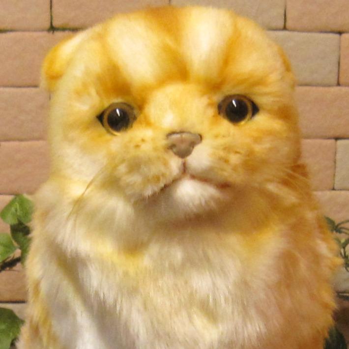 置物 動物 可愛い 猫の ぬいぐるみ スコティッシュフォールド
