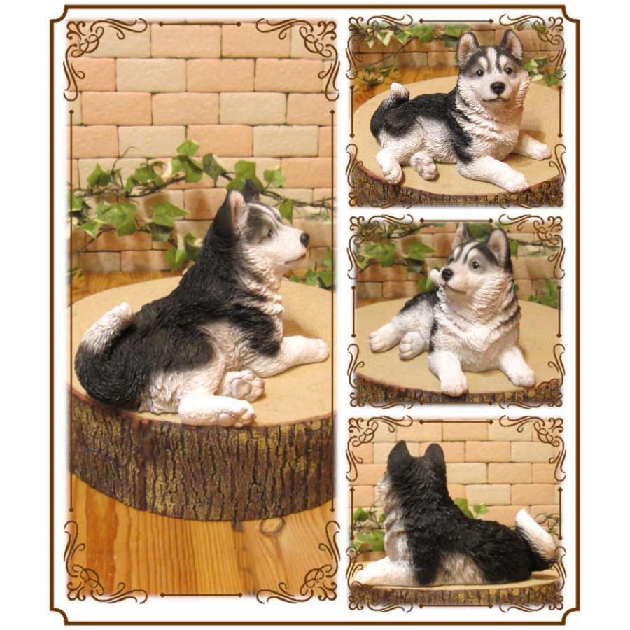 Seal限定商品 置物 動物 可愛い 犬の置物 シベリアン ハスキー 子犬 お座り リアル ドッグ オブジェ フィギュア ガーデニング 玄関先 ベランダアート 庭 装飾 Globescoffers Com