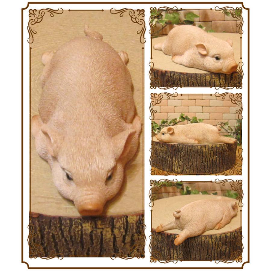 海外限定 置物 動物 可愛い 豚の置物 リアルな子ブタ 寝そべりブー 子ぶたのフィギュア ピッグ オブジェ ガーデニング 玄関先 陶器 縁起物 ベランダアート Supplystudies Com