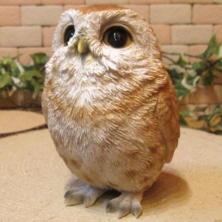 置物 動物 可愛い ふくろうの置物 ベビー フクロウ ｂ オウル リアルな鳥のフィギア 不苦労 縁起物 オウルオブジェ ガーデニング 玄関先 装飾 雑貨の森 Ki Ra Ra Yahoo 店 通販 Yahoo ショッピング