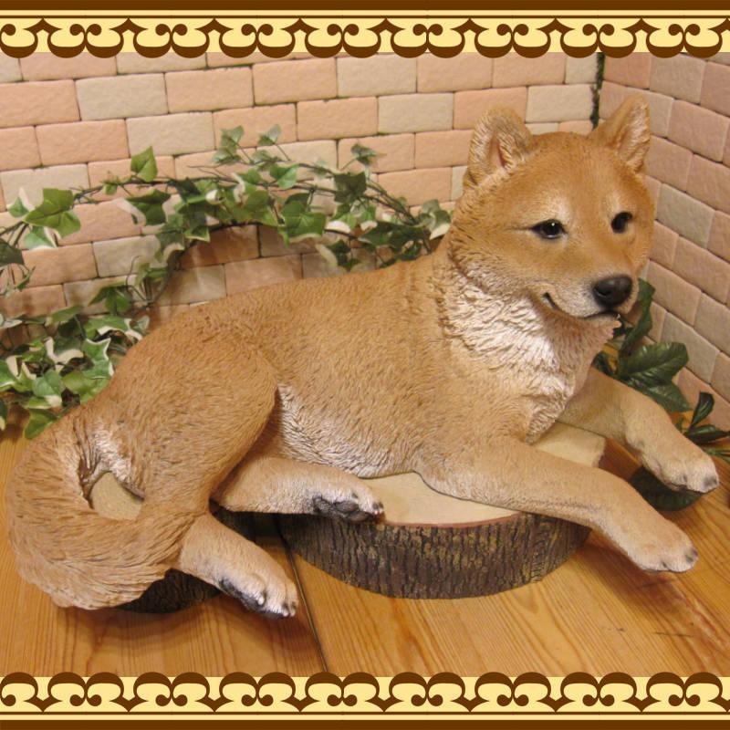 置物 動物 可愛い 犬の置物 柴犬　リアル　寝そべり 成犬ビッグサイズ　イヌのオブジェ　ガーデニング　ベランダアート