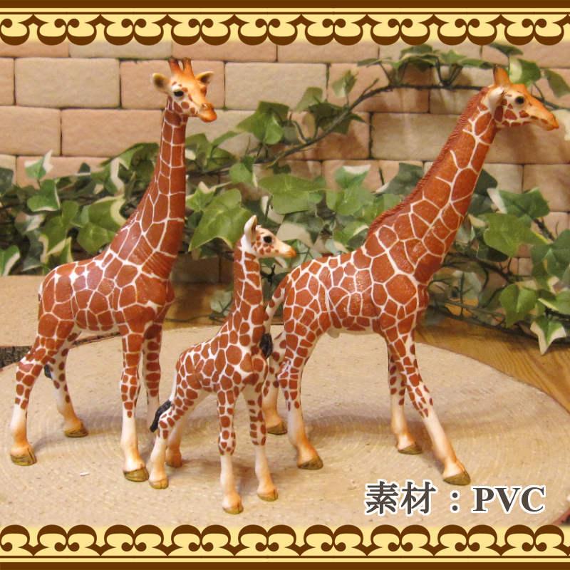 moni moni ANIMALS ３個セットフィギュア　ヤドカリ、ネコ、キリン moni moni ANIMALS 3個セットフィギュア ヤドカリ、ネコ、キリン