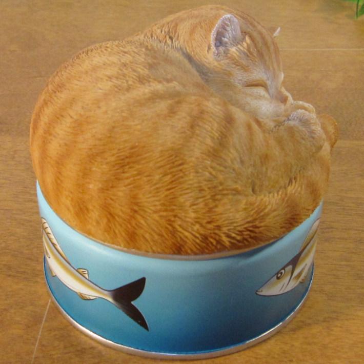 置物 動物 可愛い 猫の置物 チャトラ ボックス キャット サバ缶