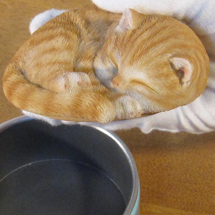 置物 動物 可愛い 猫の置物 チャトラ ボックス キャット サバ缶