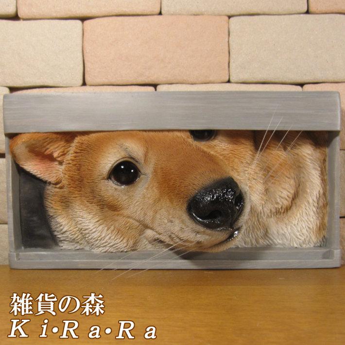置物 動物 可愛い 犬の置物 プレート ドッグ 柴犬 リアル