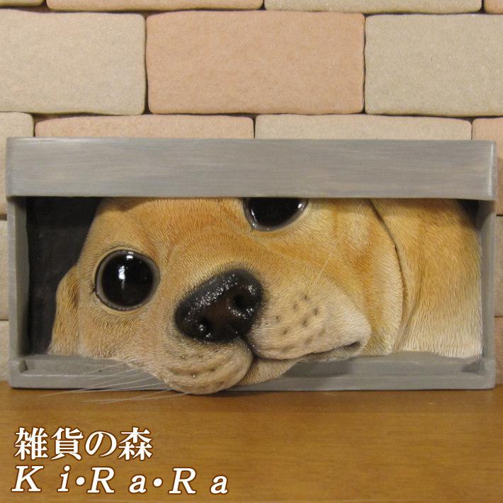 置物 動物 可愛い 犬の置物 プレート ドッグ ラブラドールレトリバー