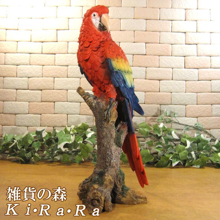 鳥の置物 アカコンゴウインコ リアル ガーデニング インテリア 店舗