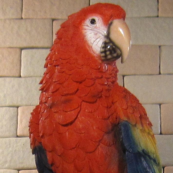 鳥の置物 アカコンゴウインコ リアル ガーデニング インテリア 店舗