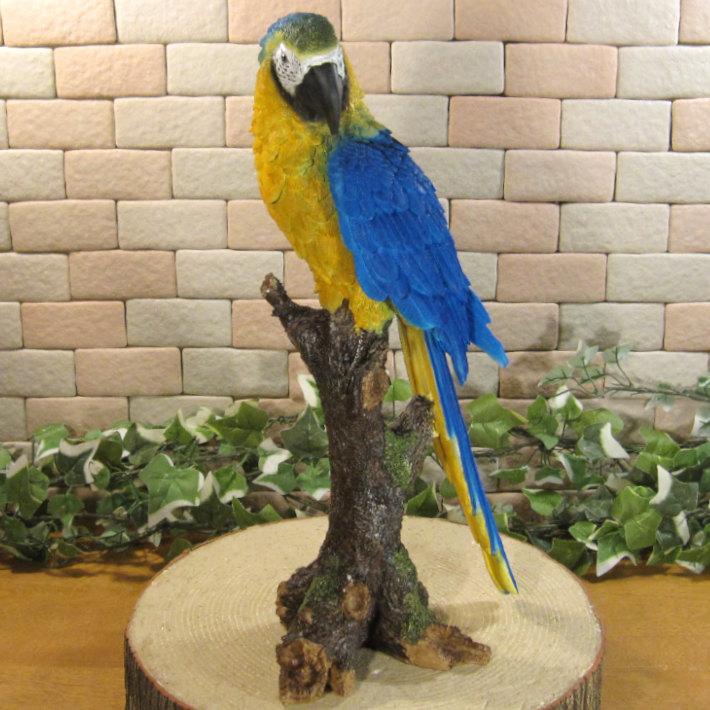 鳥の置物 アオキコンゴウインコ リアル ガーデニング インテリア 店舗