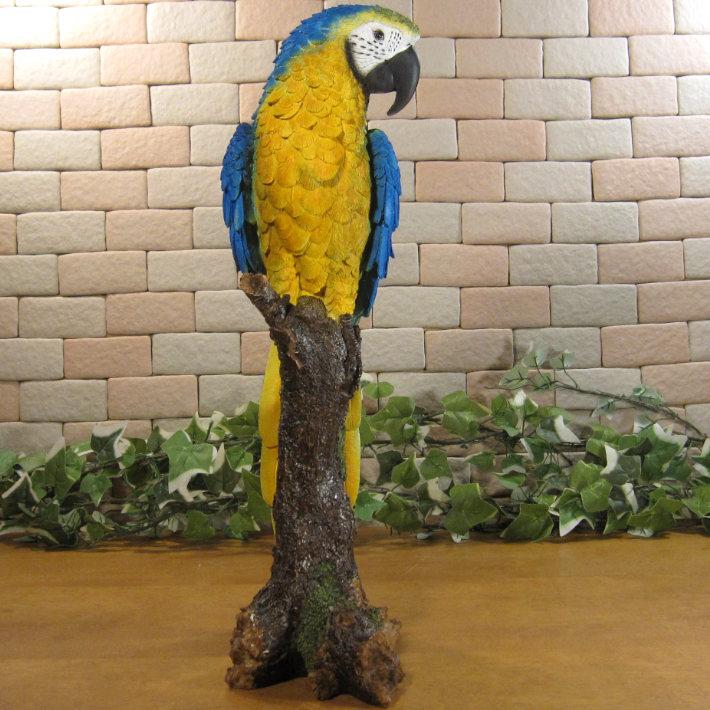 鳥の置物 アオキコンゴウインコ リアル ガーデニング インテリア 店舗