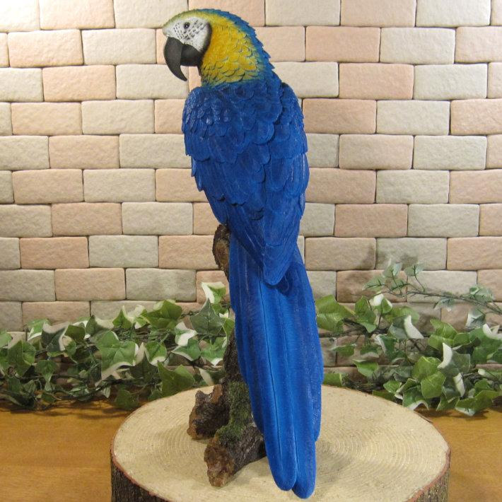 鳥の置物 アオキコンゴウインコ リアル ガーデニング インテリア 店舗