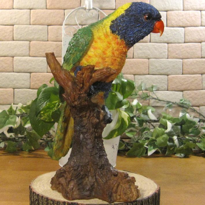 鳥の置物 オウム ゴシキセイガインコ リアル ガーデニング インテリア