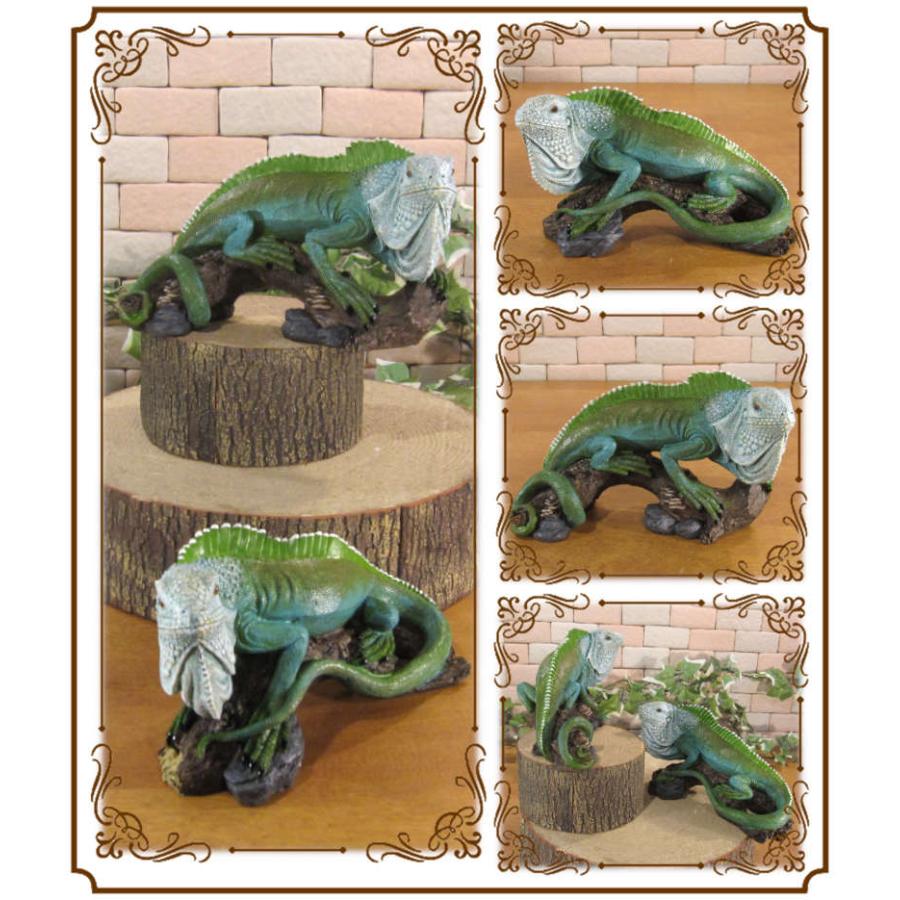 イグアナの置物 樹脂製 楽天市場】Iguana グレイイグアナ リアルなイグアナの置物